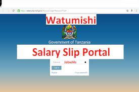pnpfs payslip portal login|salary slip portal tanzania.